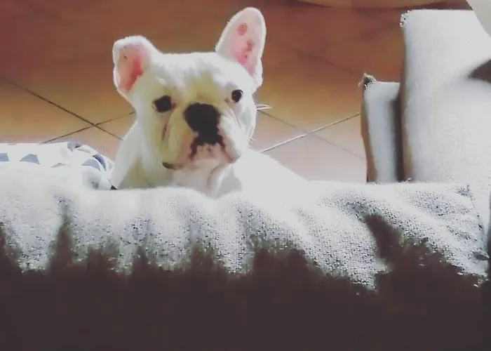 Bed & Breakfast Anita 3*