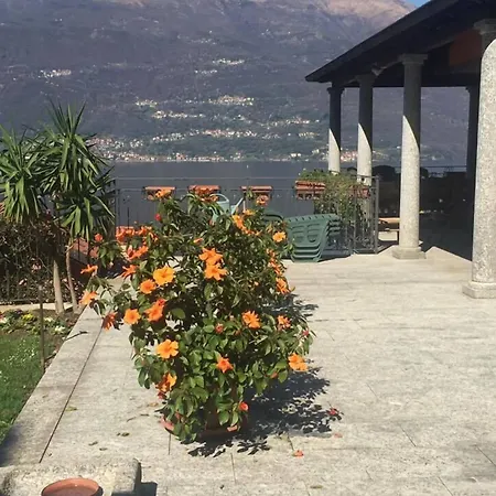 Anita 3*